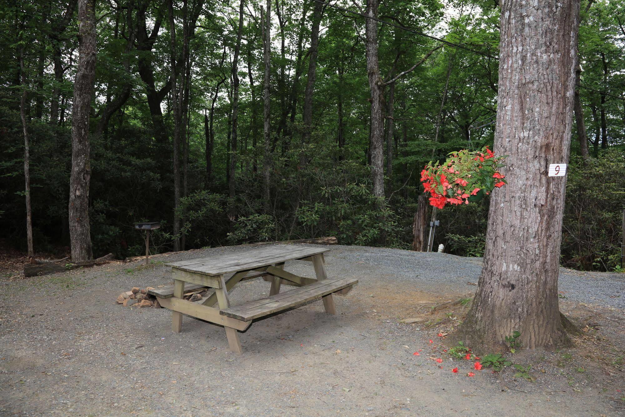 Linville Falls Campground, Rv Park, And Cabins Exterior photo